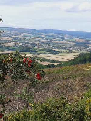 Quantock Hills